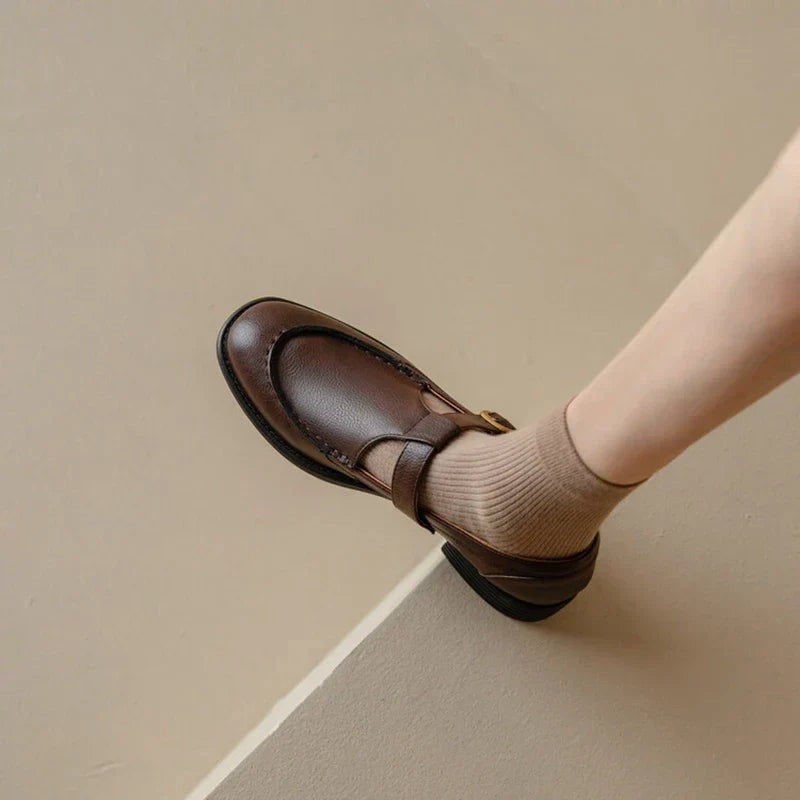 Brown Mary Jane loafer with low block heel shown from above on a ledge