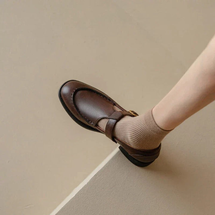 Brown Mary Jane loafer with low block heel shown from above on a ledge