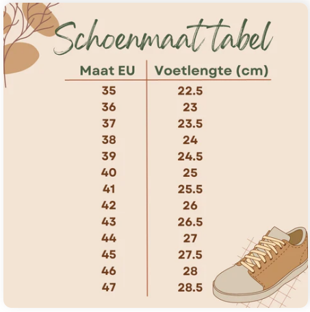 shoe size conversion chart showing EU sizes and foot length in centimeters