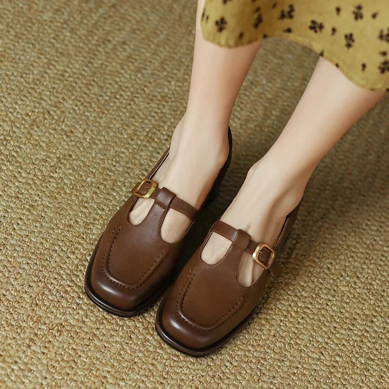 Brown leather T-strap Mary Jane shoes with gold buckle and block heel
