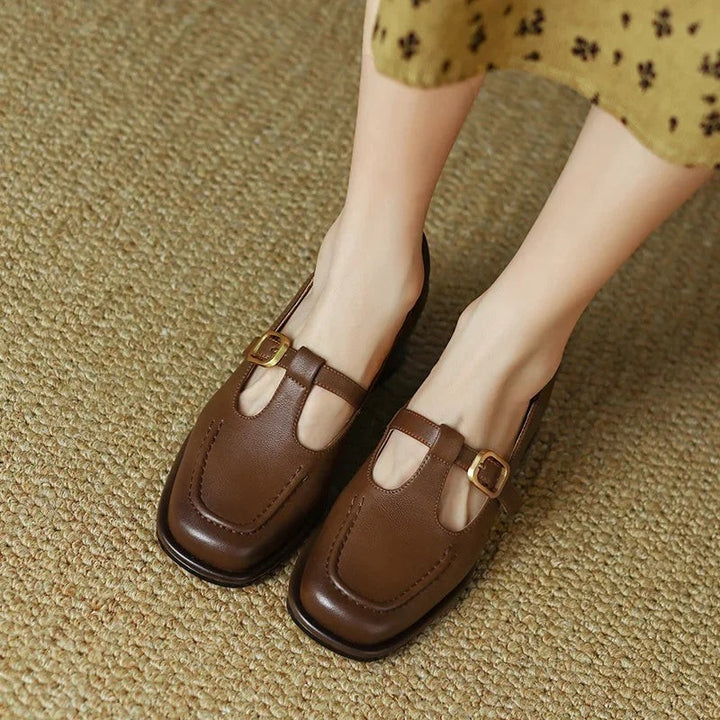 Brown leather T-strap Mary Jane shoes with gold buckle and block heel